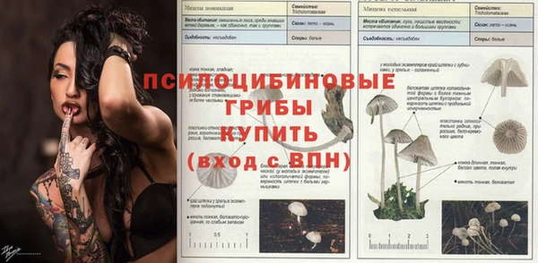 синтетический гашиш Алексеевка