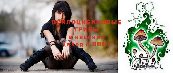 гидропоника Нея