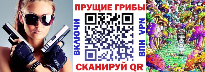 где найти Обнинск Галлюциногенные грибы Psilocybe